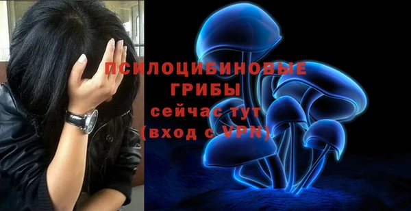 гидра Алексин
